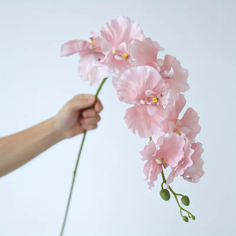 Orchid Phalaenopsis - Lange tak vlinder orchideeën kunstbloemen huis
