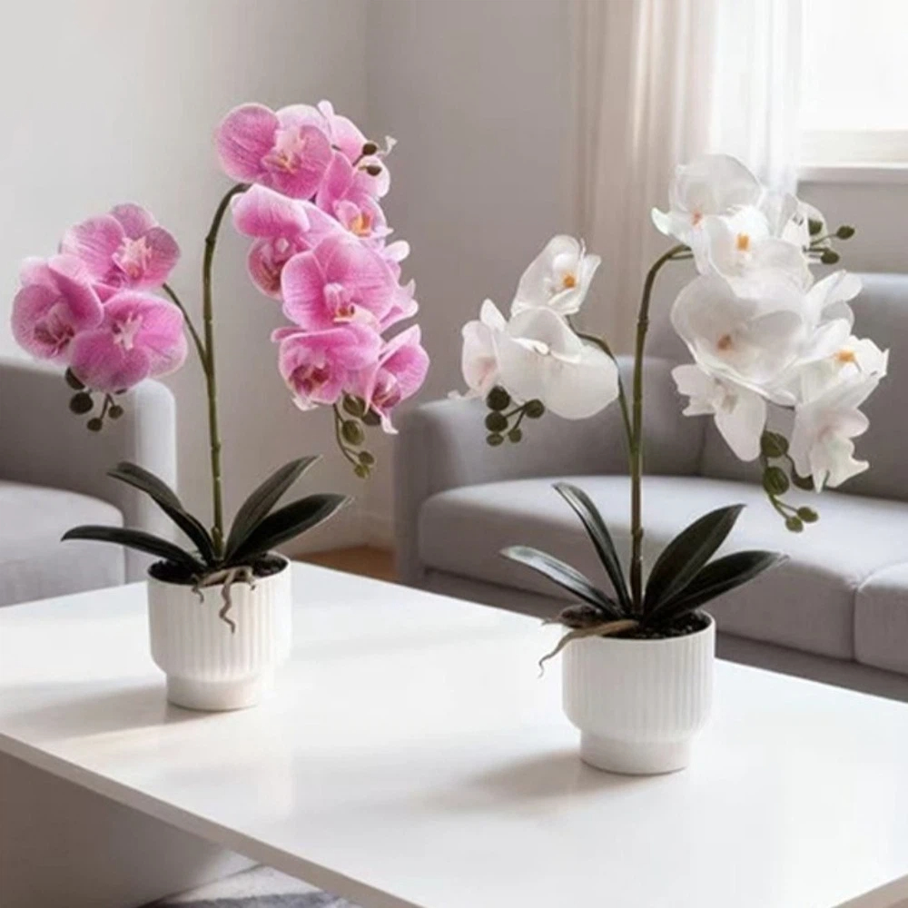 Multi-Bloom Gesimuleerde Vlind - Orchid Phalaenopsis recensie en prijs