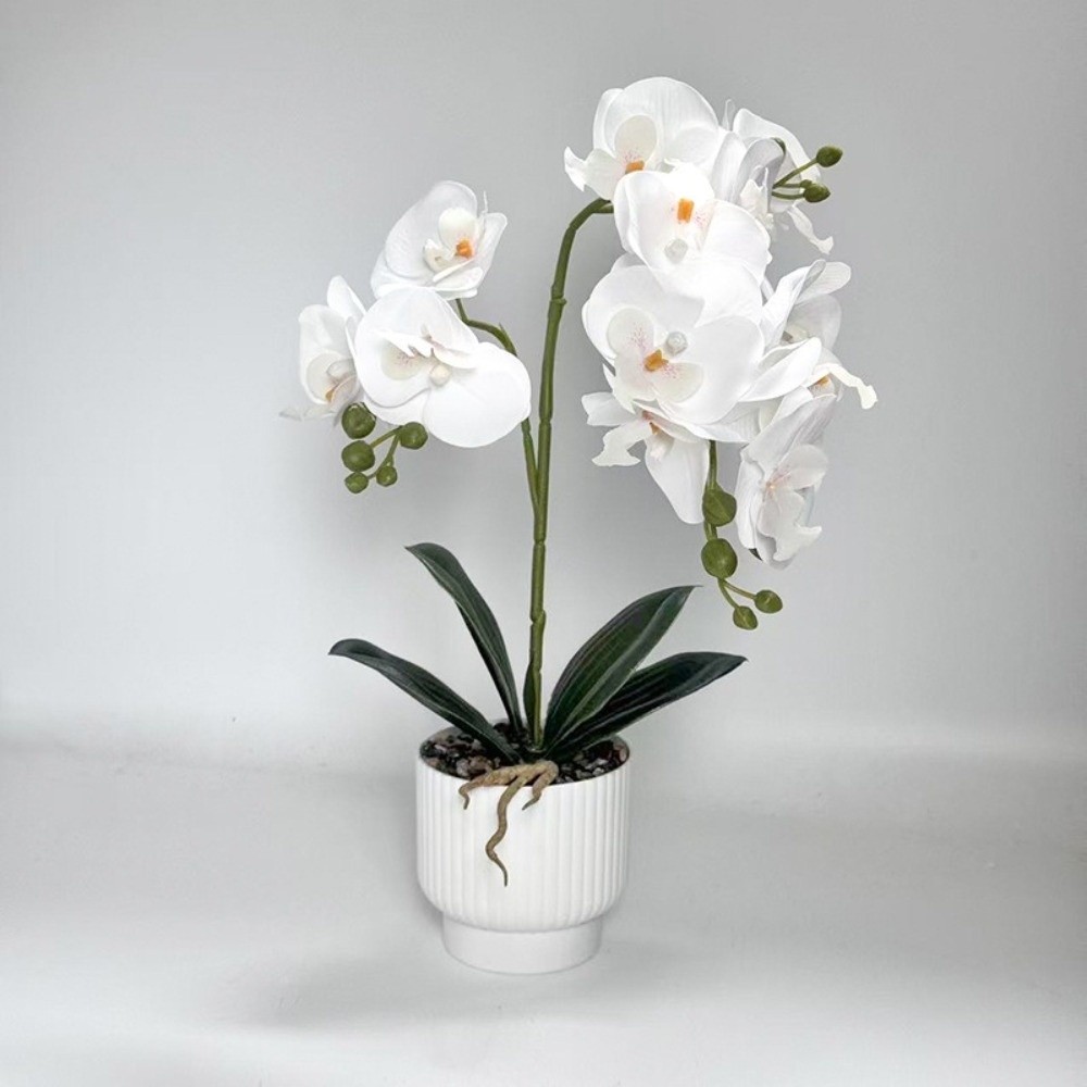 Multi-Bloom Gesimuleerde Vlind - Orchid Phalaenopsis recensie en prijs
