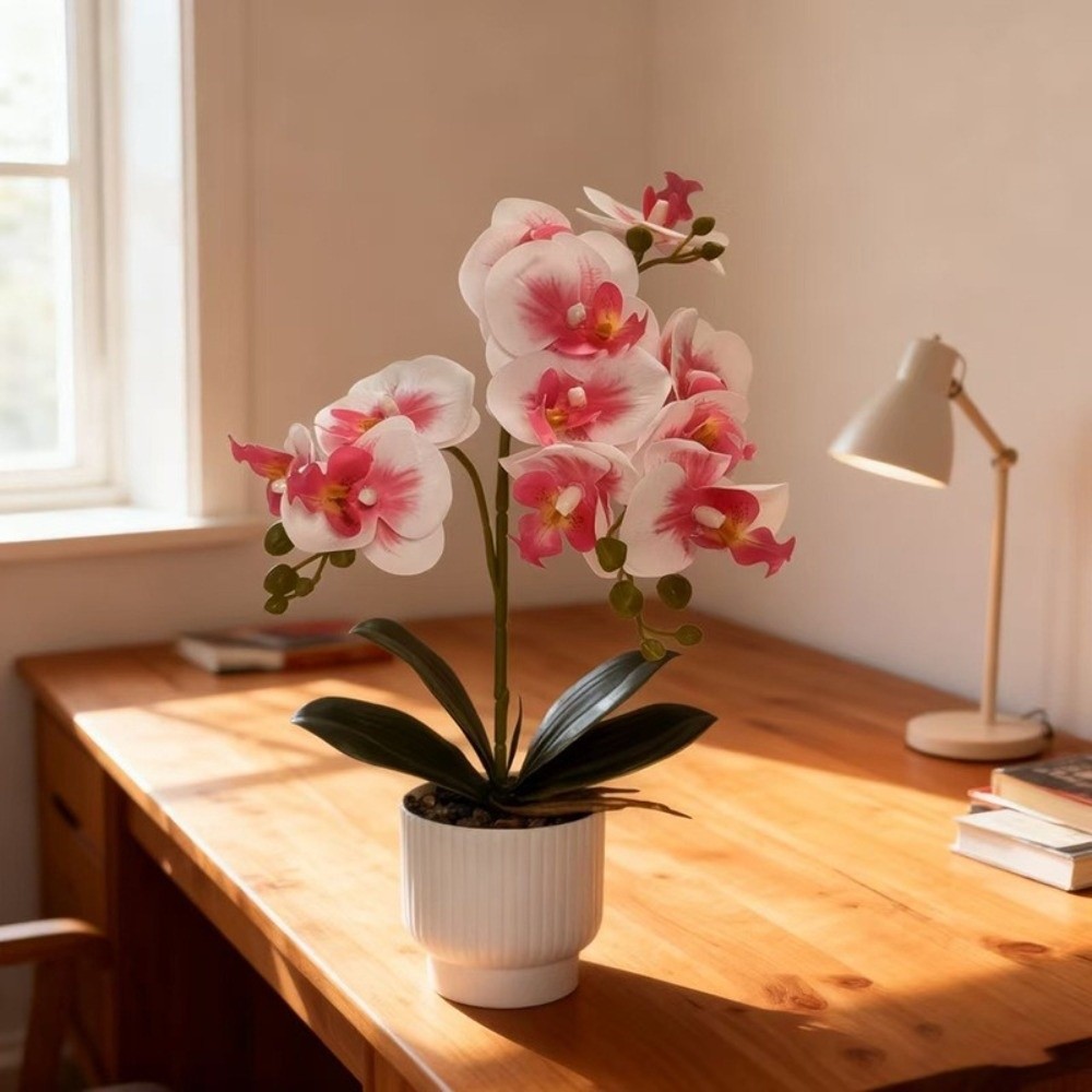 Multi-Bloom Gesimuleerde Vlind - Orchid Phalaenopsis recensie en prijs