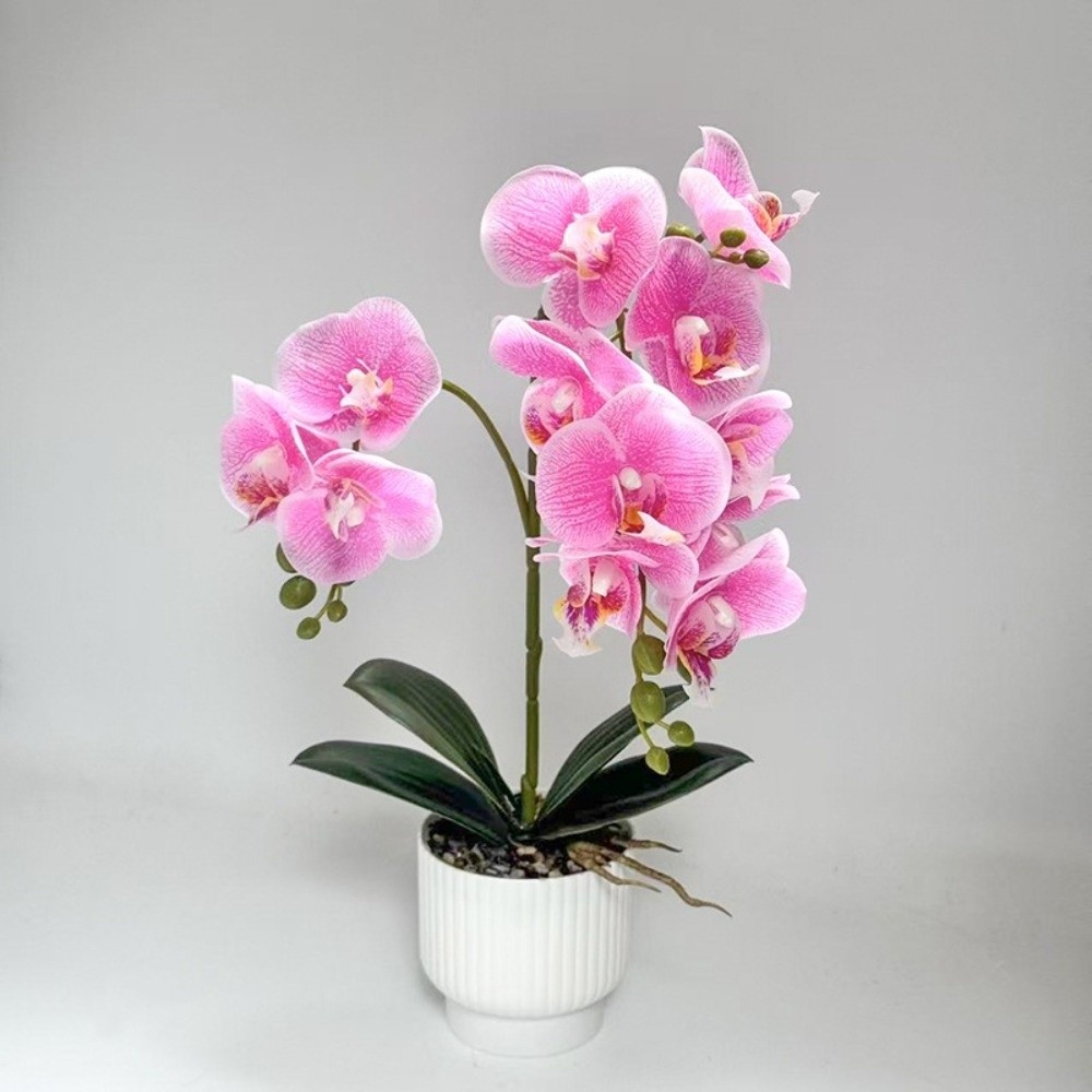 Multi-Bloom Gesimuleerde Vlind - Orchid Phalaenopsis recensie en prijs