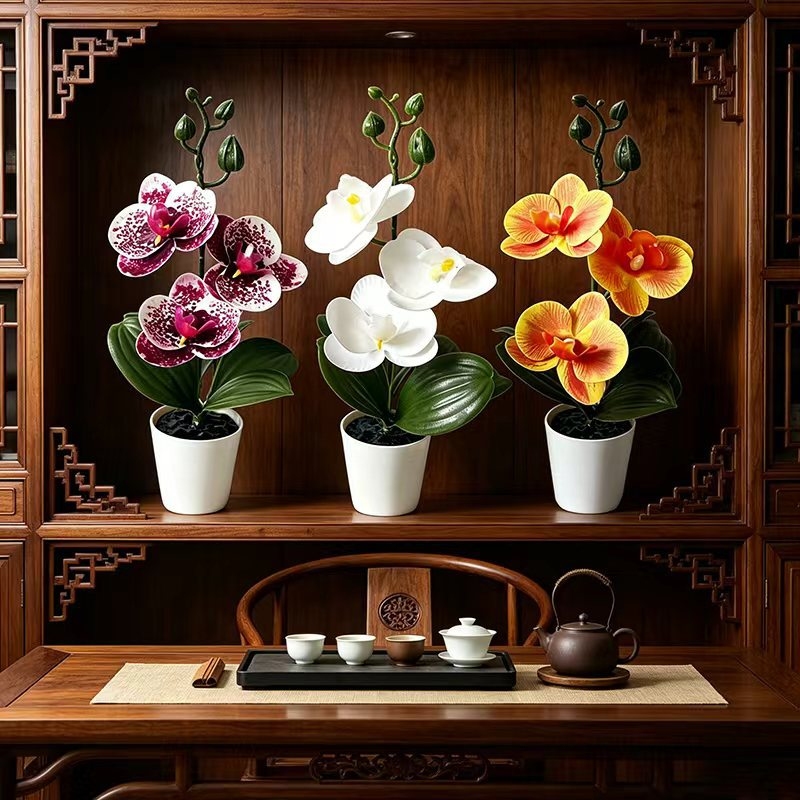 Mini-vlinderorchidee potplant  - Orchid Phalaenopsis recensie en prijs