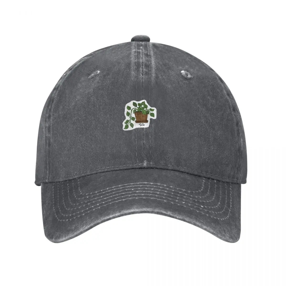 Plant Parent Pothos Baseball C - The Plant Parent recensie en prijs