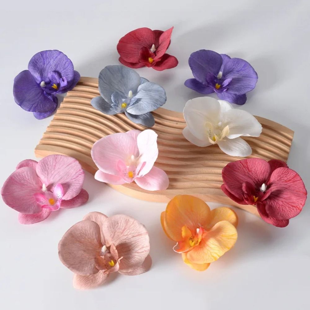 DIY Phalaenopsis bloemhoofd ha - Orchid Phalaenopsis recensie en prijs