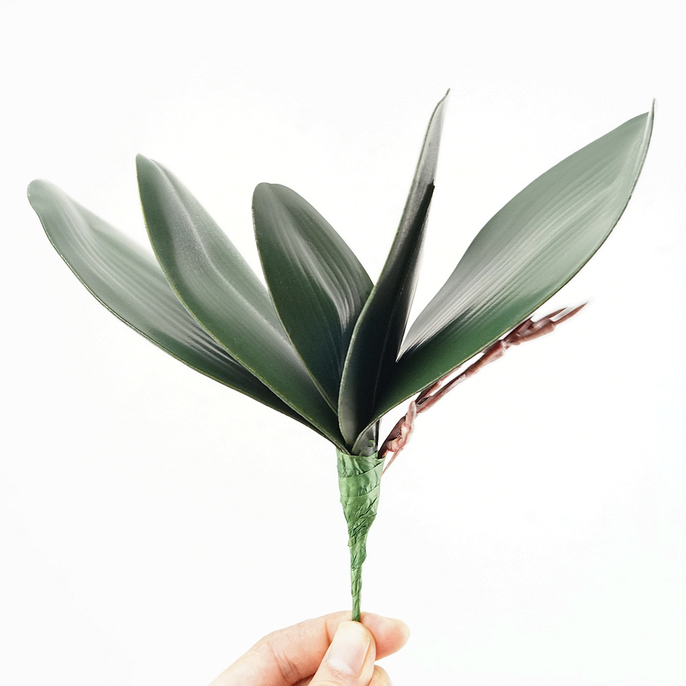 3pc Eva Simulatie Phalaenopsis - Orchid Phalaenopsis recensie en prijs