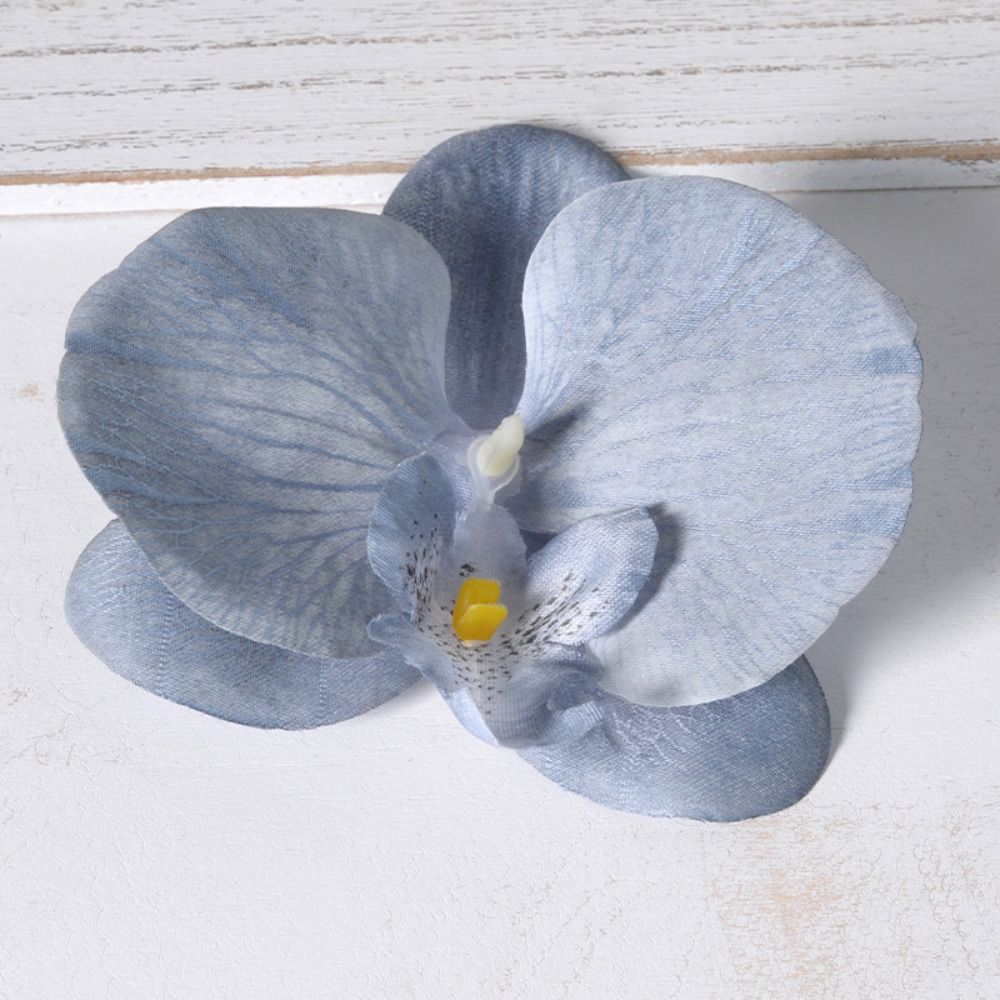 DIY Phalaenopsis Bloemhoofd 11 - Orchid Phalaenopsis recensie en prijs
