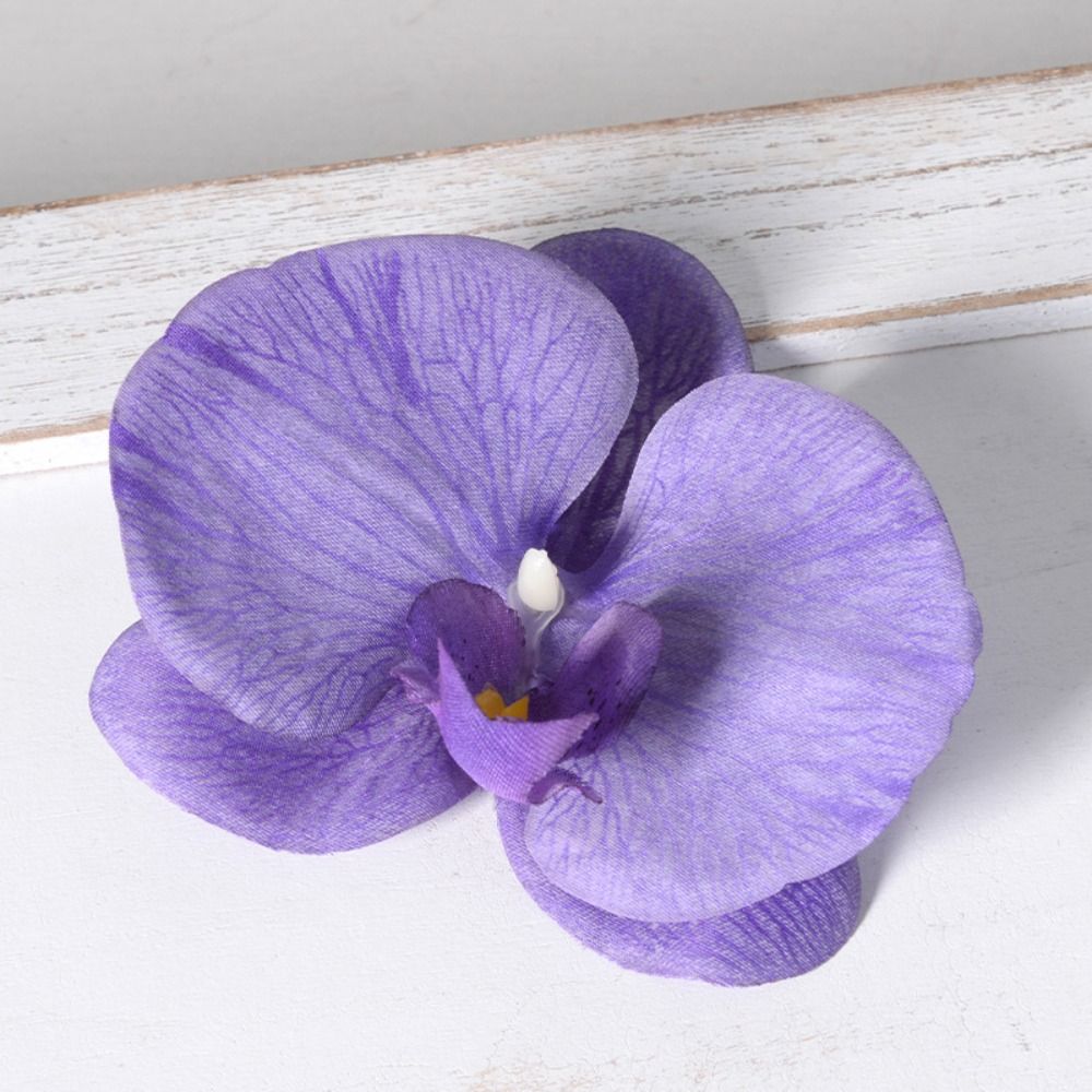 DIY Phalaenopsis Bloemhoofd 11 - Orchid Phalaenopsis recensie en prijs