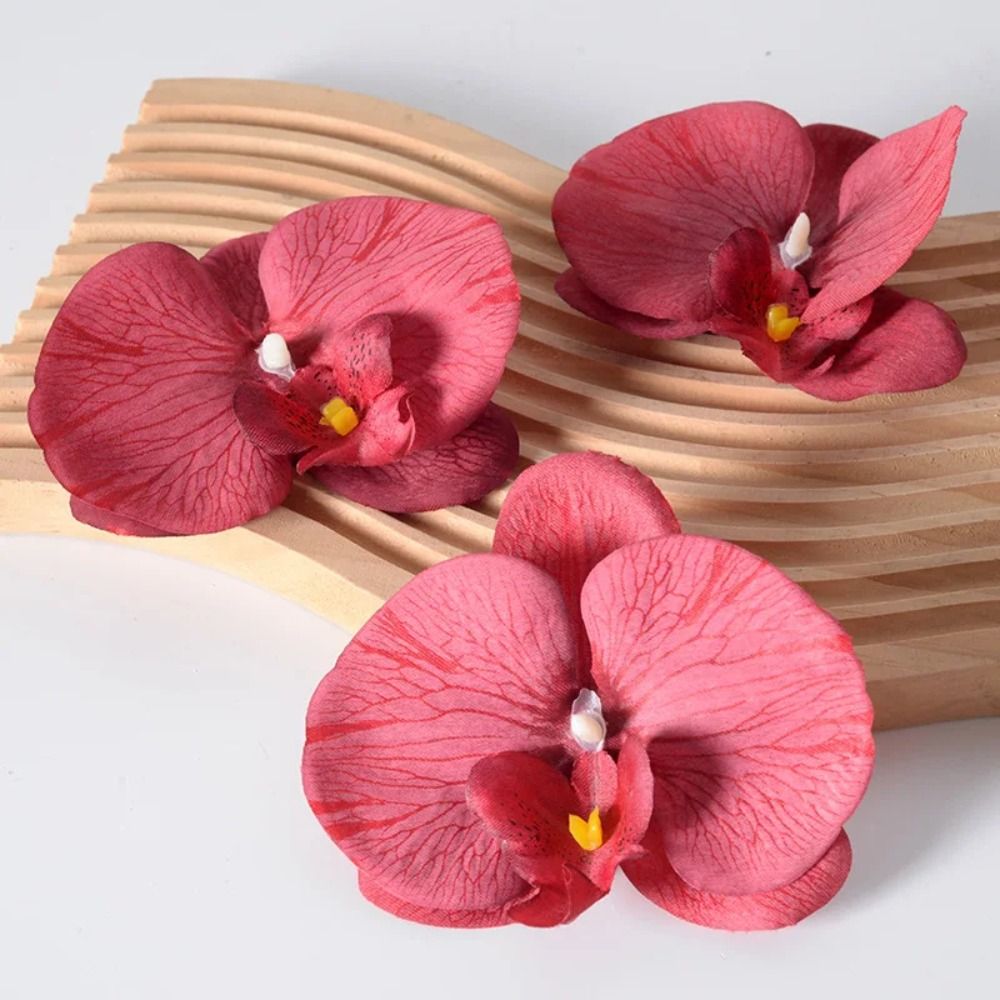 DIY Phalaenopsis Bloemhoofd 11 - Orchid Phalaenopsis recensie en prijs
