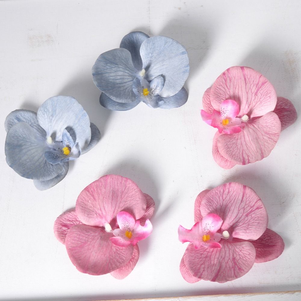 DIY Phalaenopsis Bloemhoofd 11 - Orchid Phalaenopsis recensie en prijs