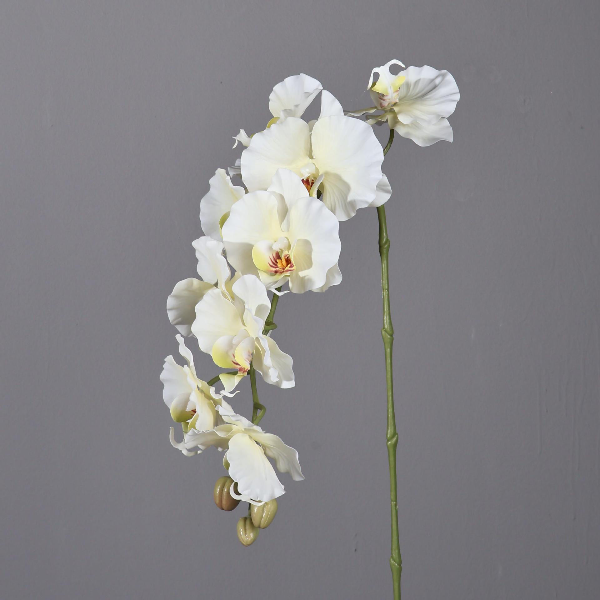 38,6 inch 9 hoofden Koreaanse  - Orchid Phalaenopsis recensie en prijs