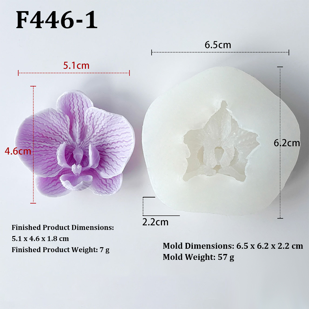 Phalaenopsis Orchidee Bloemvor - Orchid Phalaenopsis recensie en prijs