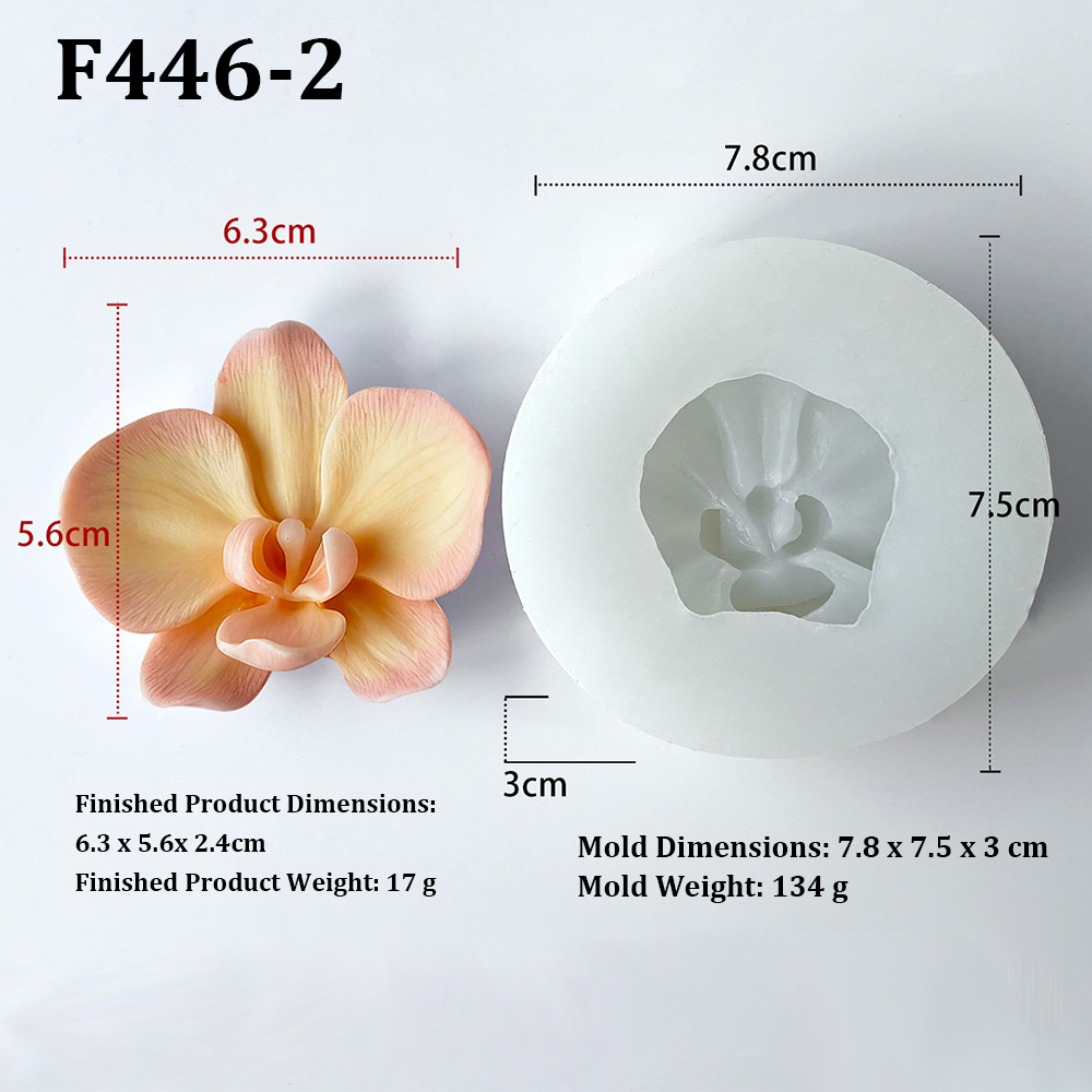 Phalaenopsis Orchidee Bloemvor - Orchid Phalaenopsis recensie en prijs