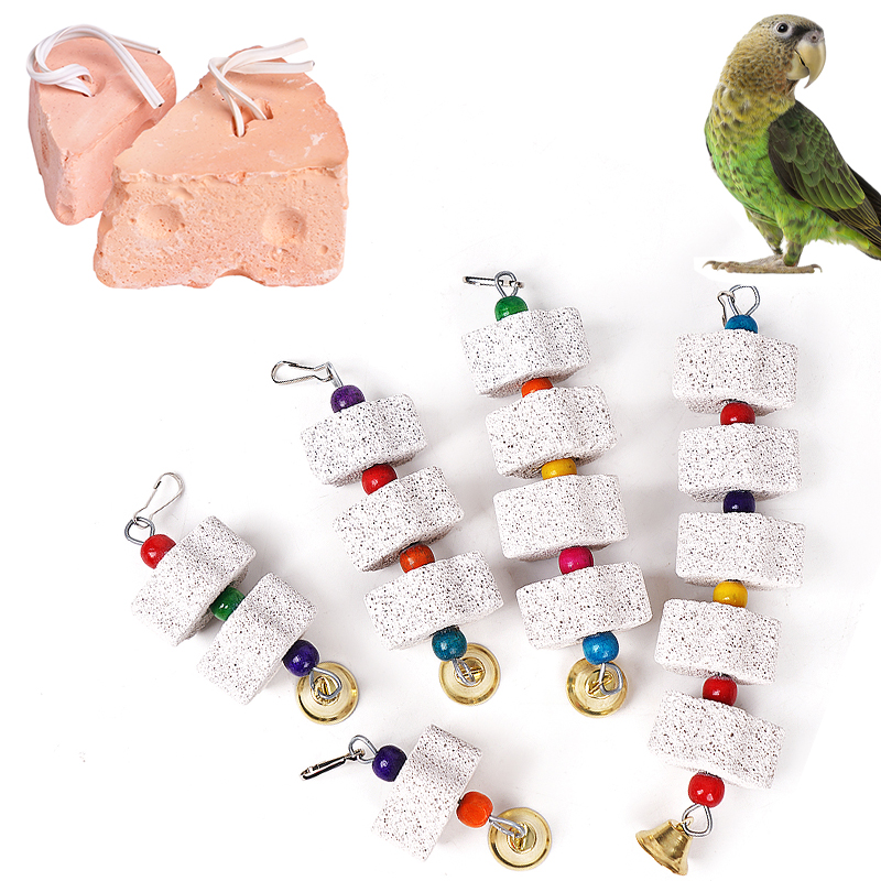 Bloemvormige Vogel Molaire Spe - Plant Parenthood recensie en prijs