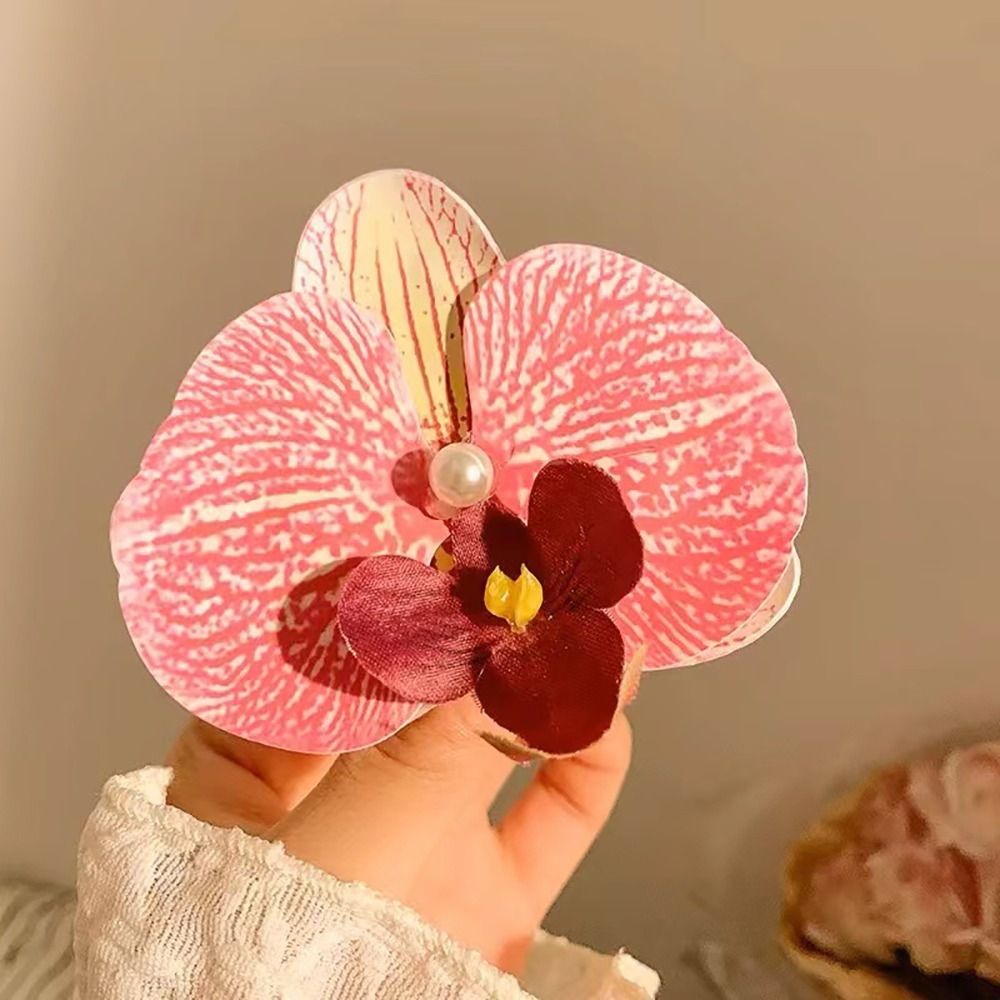 1 stks Phalaenopsis Parel Haar - Orchid Phalaenopsis recensie en prijs