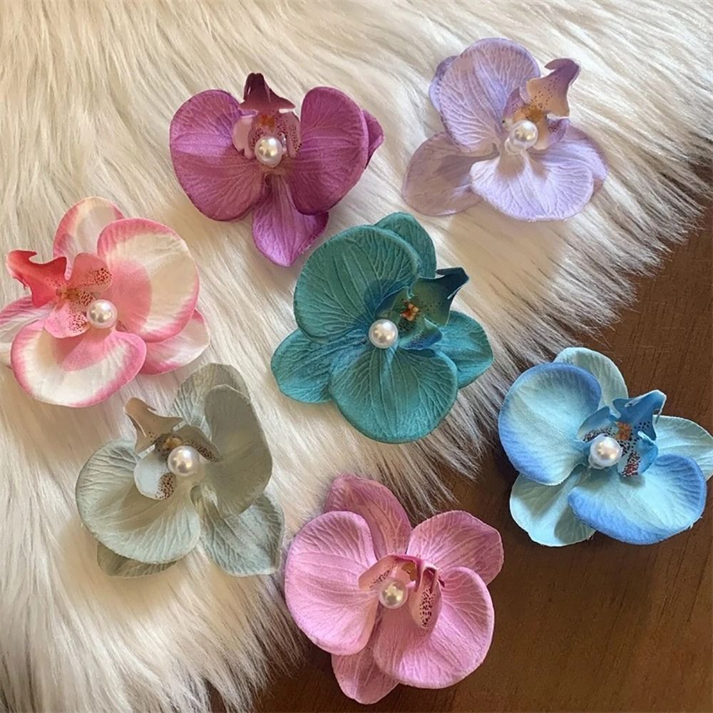 1 stks Phalaenopsis Parel Haar - Orchid Phalaenopsis recensie en prijs